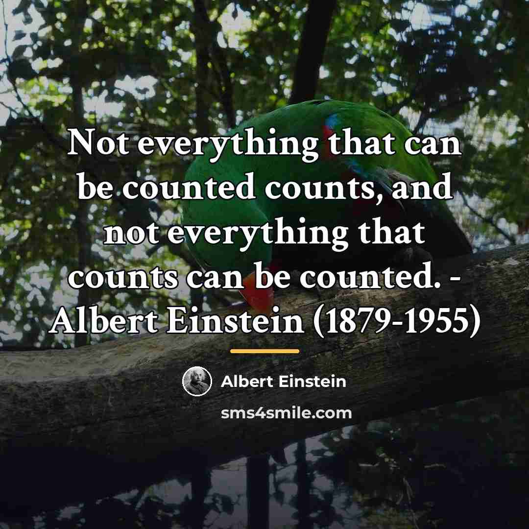 “Not everything that can be counted counts, and not everything…” quote by Albert Einstein