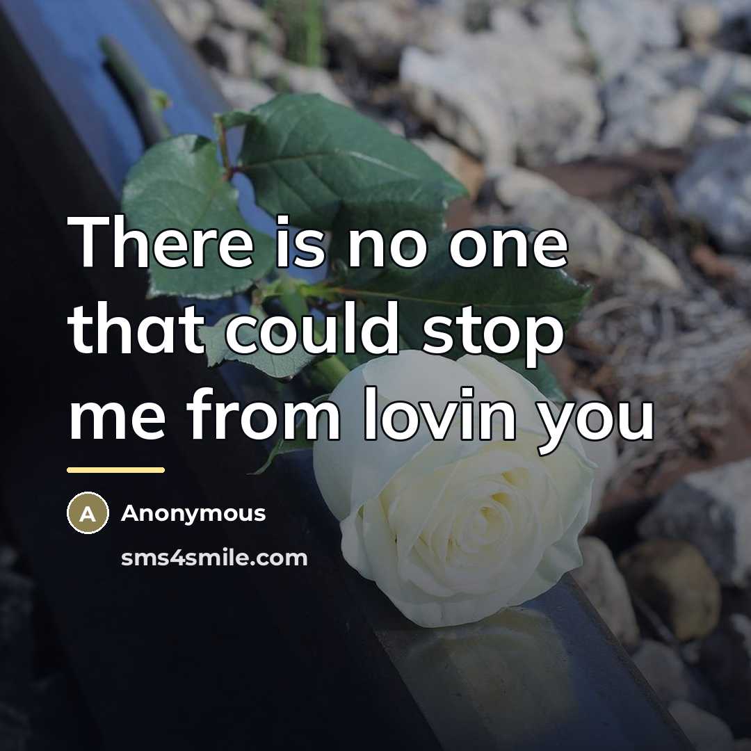 “There is no one that could stop me from lovin…” quote by Anonymous