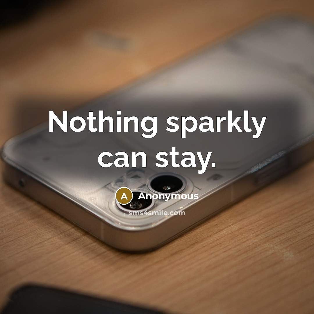 “Nothing sparkly can stay.” quote by Anonymous