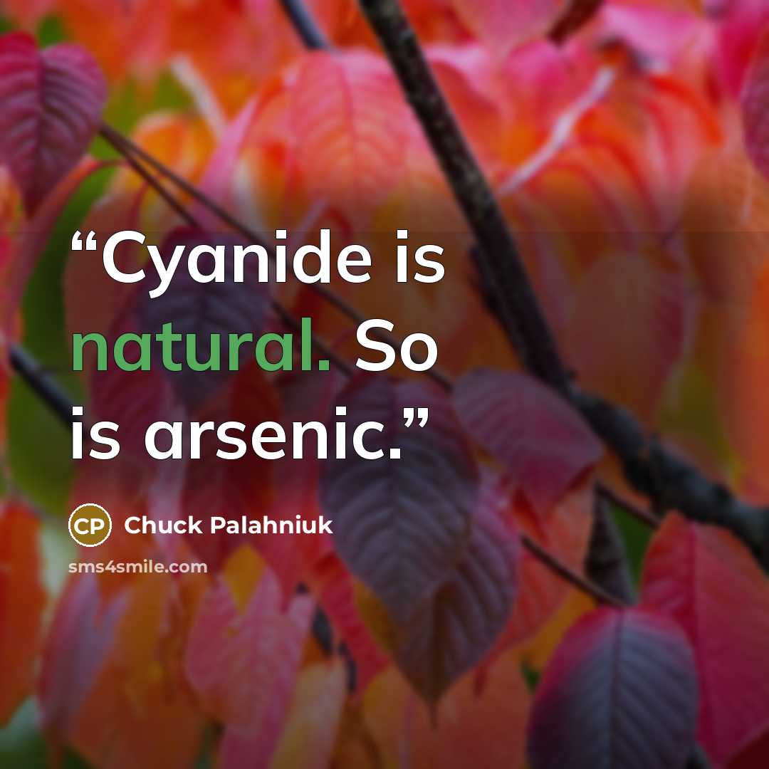 “Cyanide is natural. So is arsenic.” quote by Chuck Palahniuk