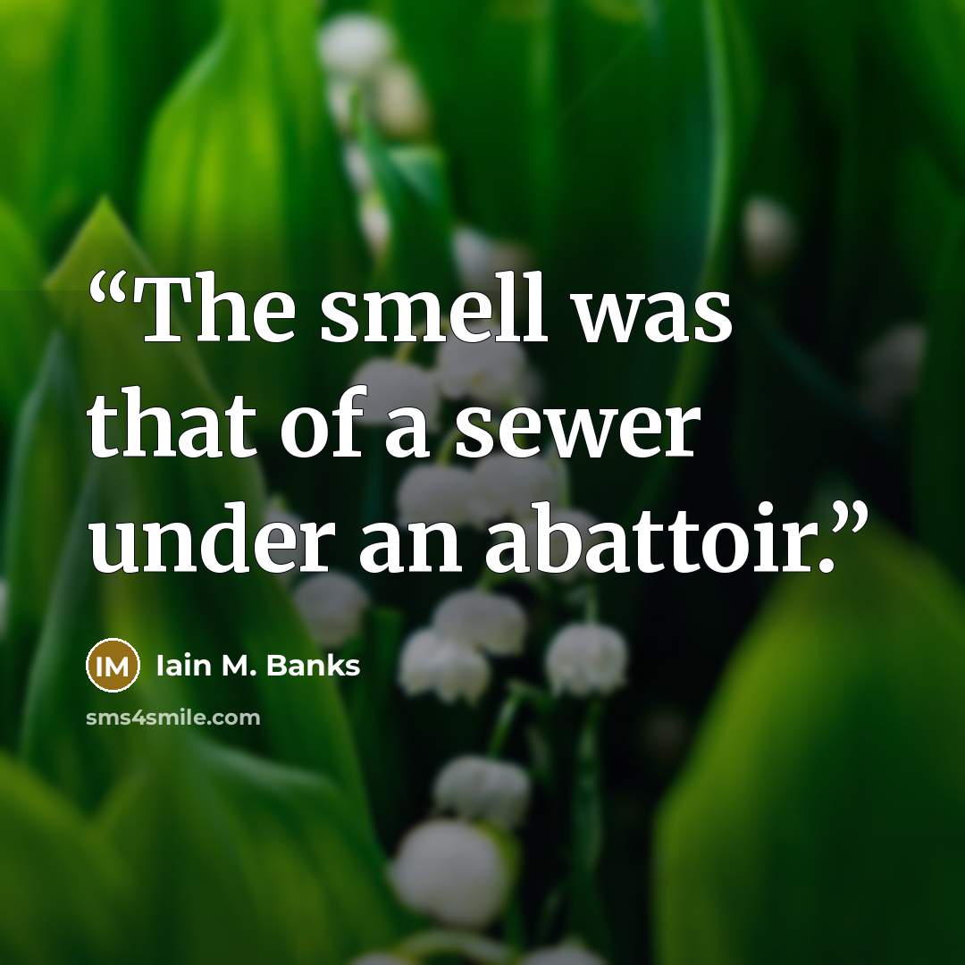 “The smell was that of a sewer under an abattoir.” quote by Iain M. Banks