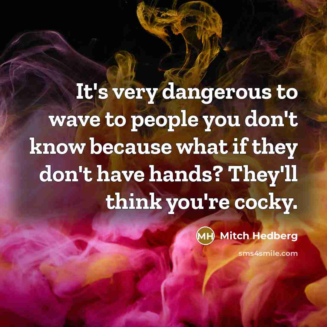 “It's very dangerous to wave to people you don't know…” quote by Mitch Hedberg