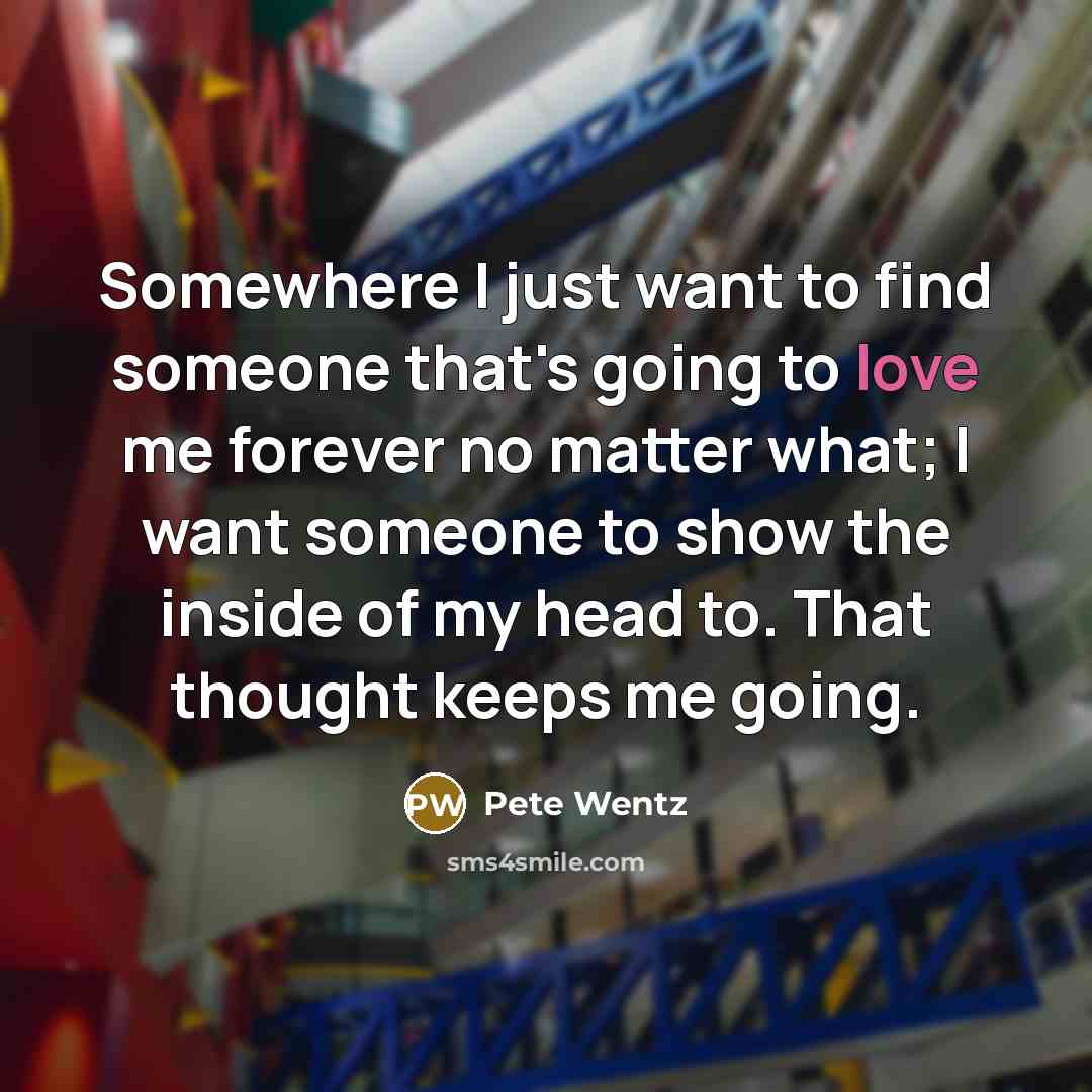 “Somewhere I just want to find someone that's going to…” quote by Pete Wentz