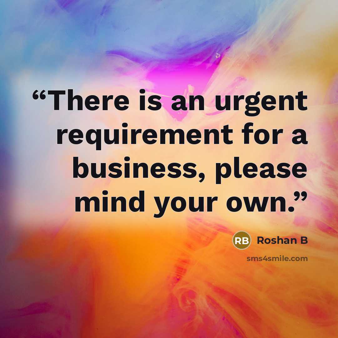 “There is an urgent requirement for a business, please mind your own.” quote by Roshan B