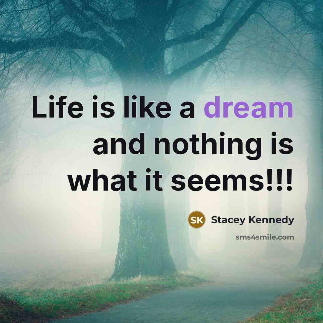 “Life is like a dream and nothing is what it…” quote by Stacey Kennedy