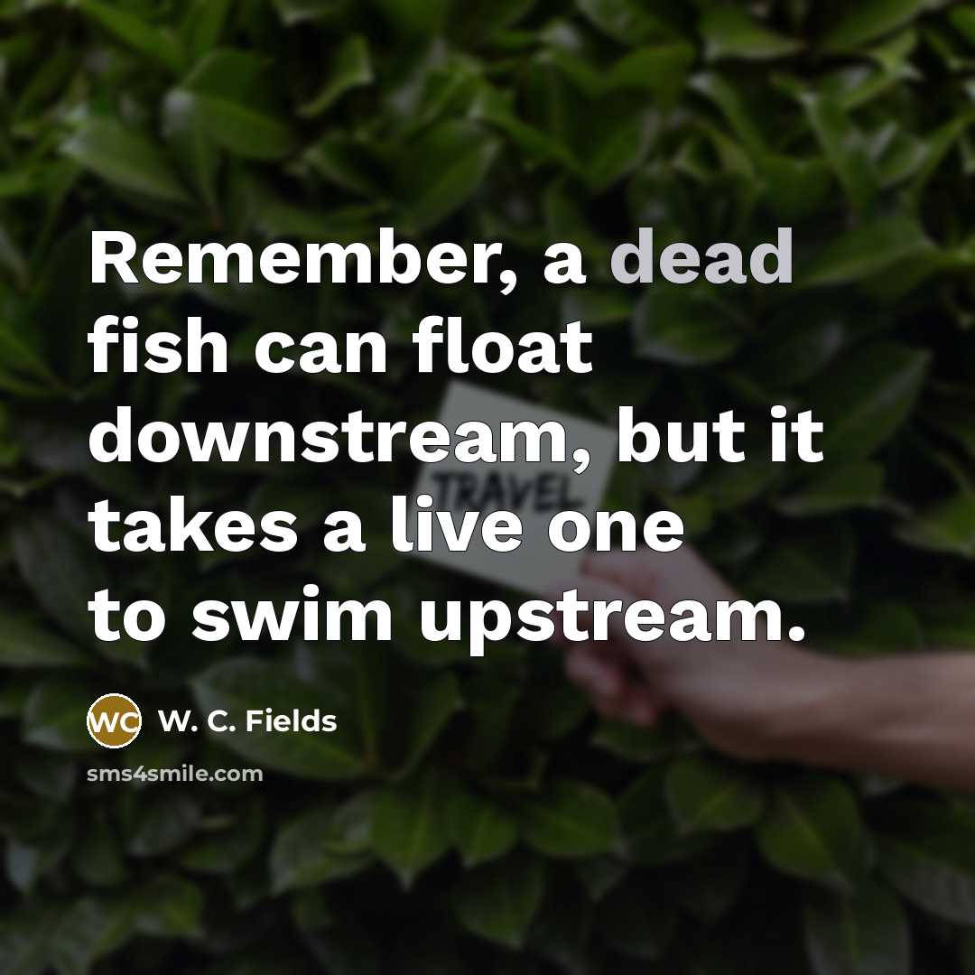 “Remember, a dead fish can float downstream, but it takes a live one to swim upstream.” quote by W. C. Fields