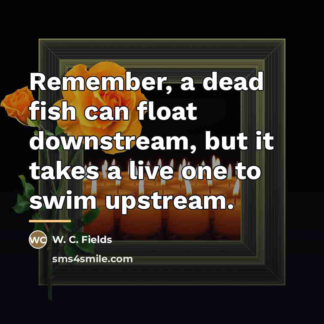 “Remember, a dead fish can float downstream, but it takes…” quote by W. C. Fields