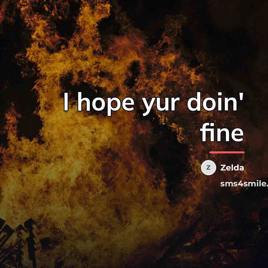 “I hope yur doin' fine…” quote by Zelda