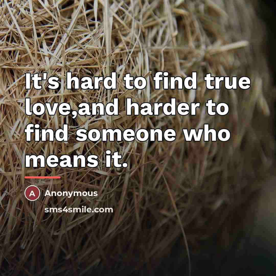 “It's hard to find true love,and harder to find someone…” quote by Anonymous