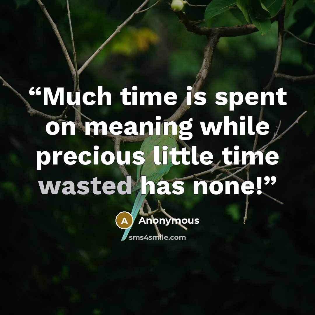 “Much time is spent on meaning while precious little time wasted has none!” quote by Anonymous