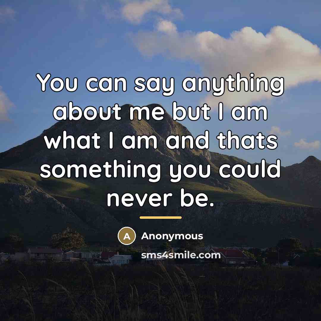 “You can say anything about me but I am what…” quote by Anonymous