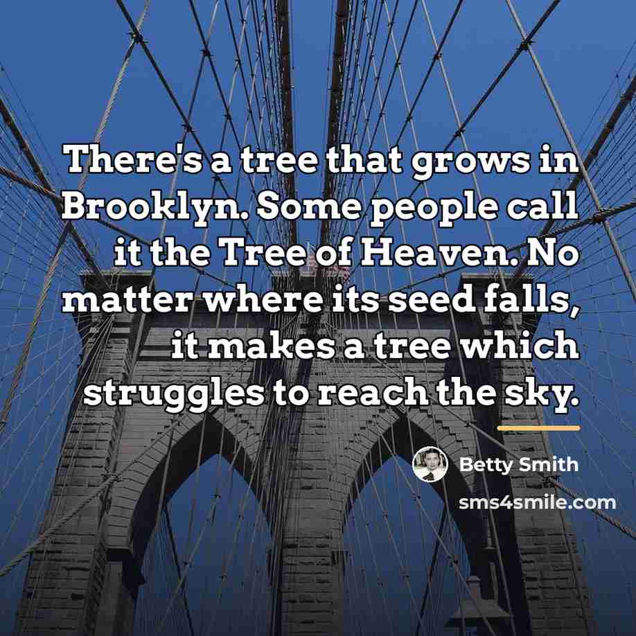 “There's a tree that grows in Brooklyn. Some people call…” quote by Betty Smith