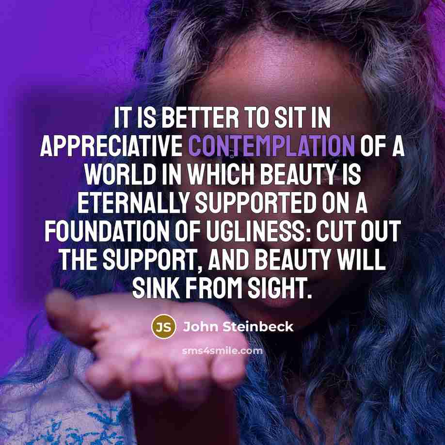 “It is better to sit in appreciative contemplation of a…” quote by John Steinbeck