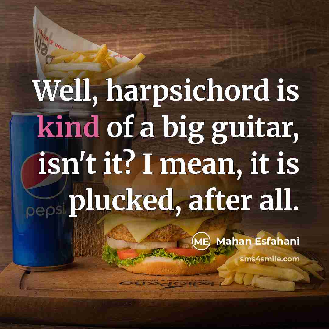 “Well, harpsichord is kind of a big guitar, isn't it?…” quote by Mahan Esfahani