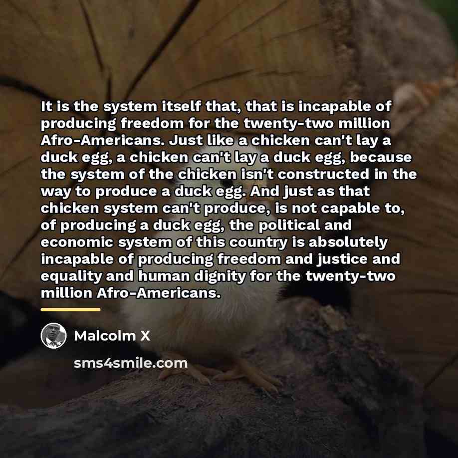 “It is the system itself that, that is incapable of…” quote by Malcolm X