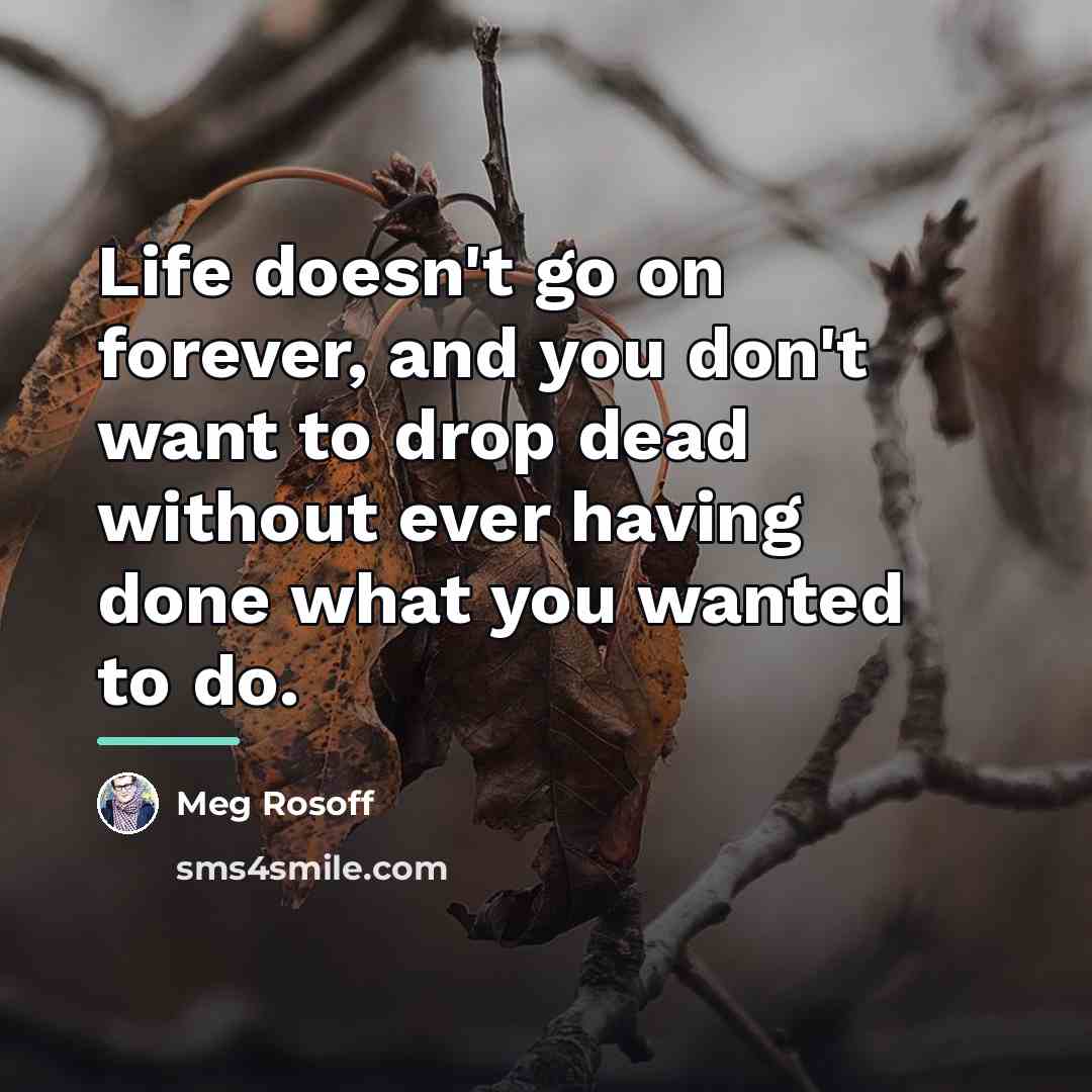 “Life doesn't go on forever, and you don't want to…” quote by Meg Rosoff