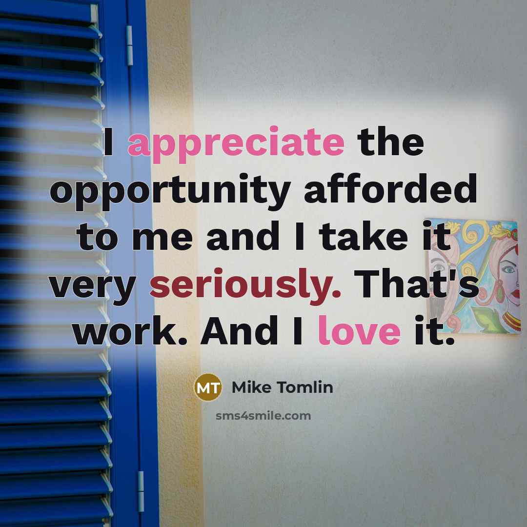 “I appreciate the opportunity afforded to me and I take it very seriously. That's work. And I love it.” quote by Mike Tomlin