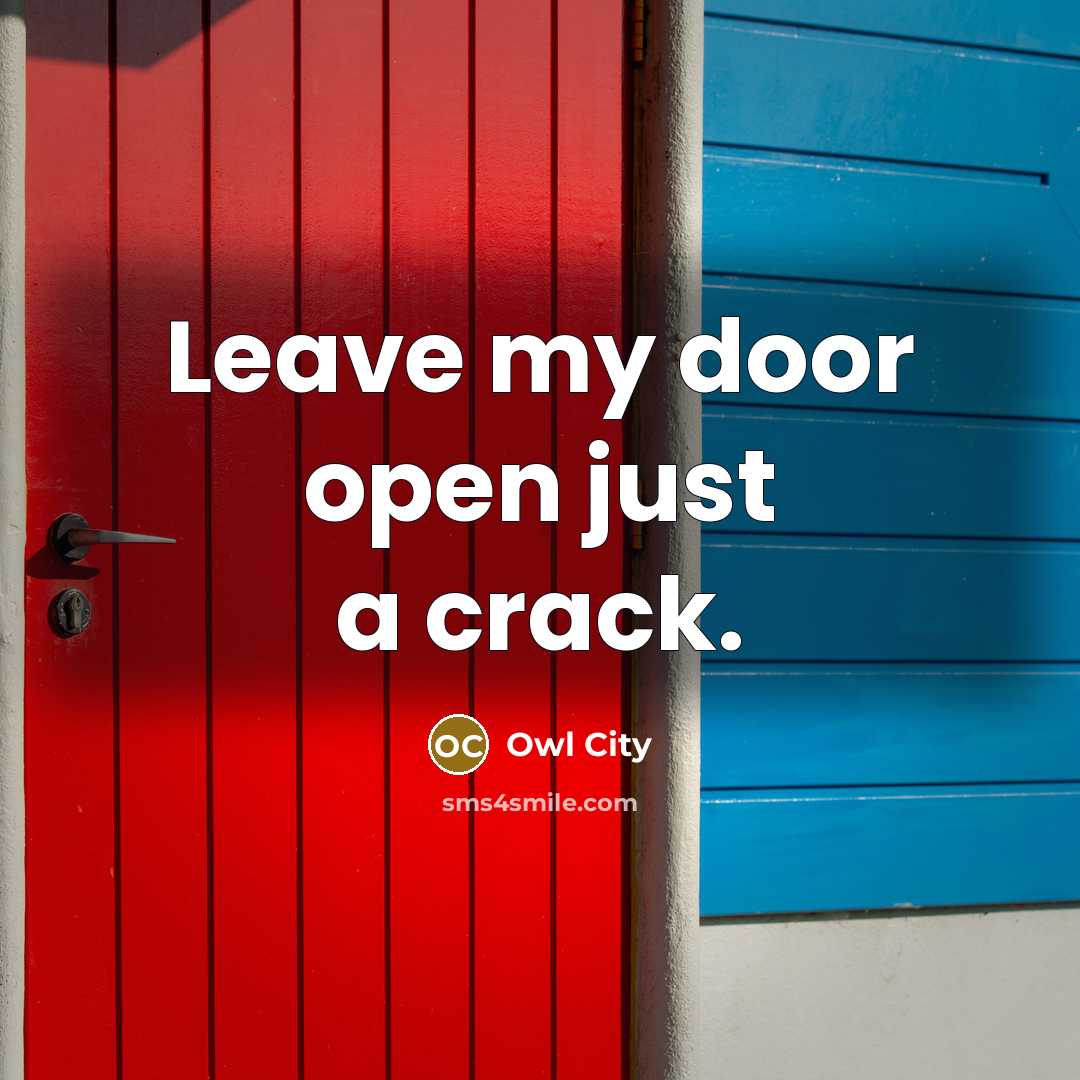 “Leave my door open just a crack.” quote by Owl City