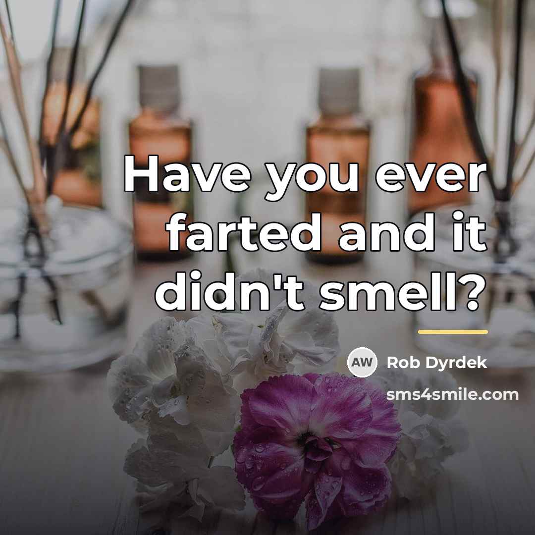 “Have you ever farted and it didn't smell?…” quote by Rob Dyrdek