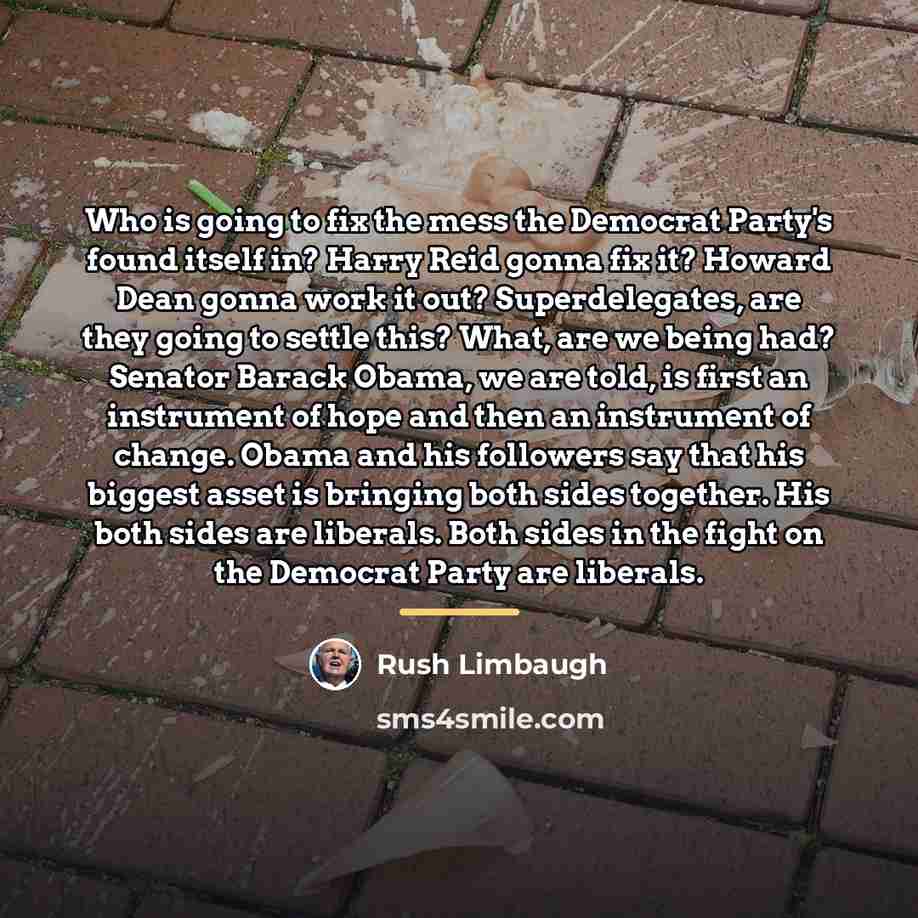 “Who is going to fix the mess the Democrat Party's…” quote by Rush Limbaugh
