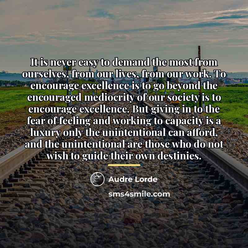 “It is never easy to demand the most from ourselves,…” quote by Audre Lorde