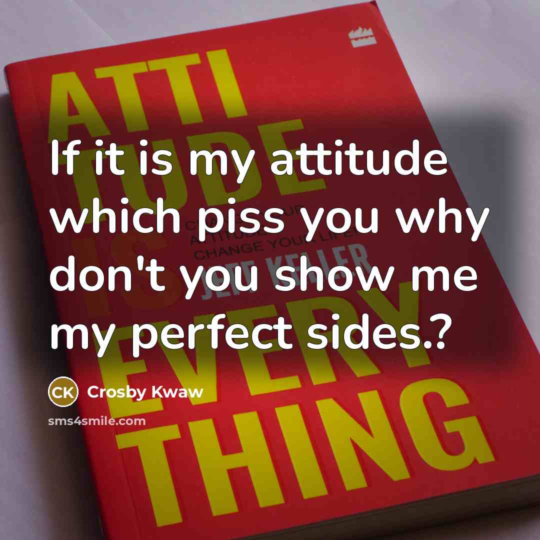 “If it is my attitude which piss you why don't you show me my perfect sides.?” quote by Crosby Kwaw