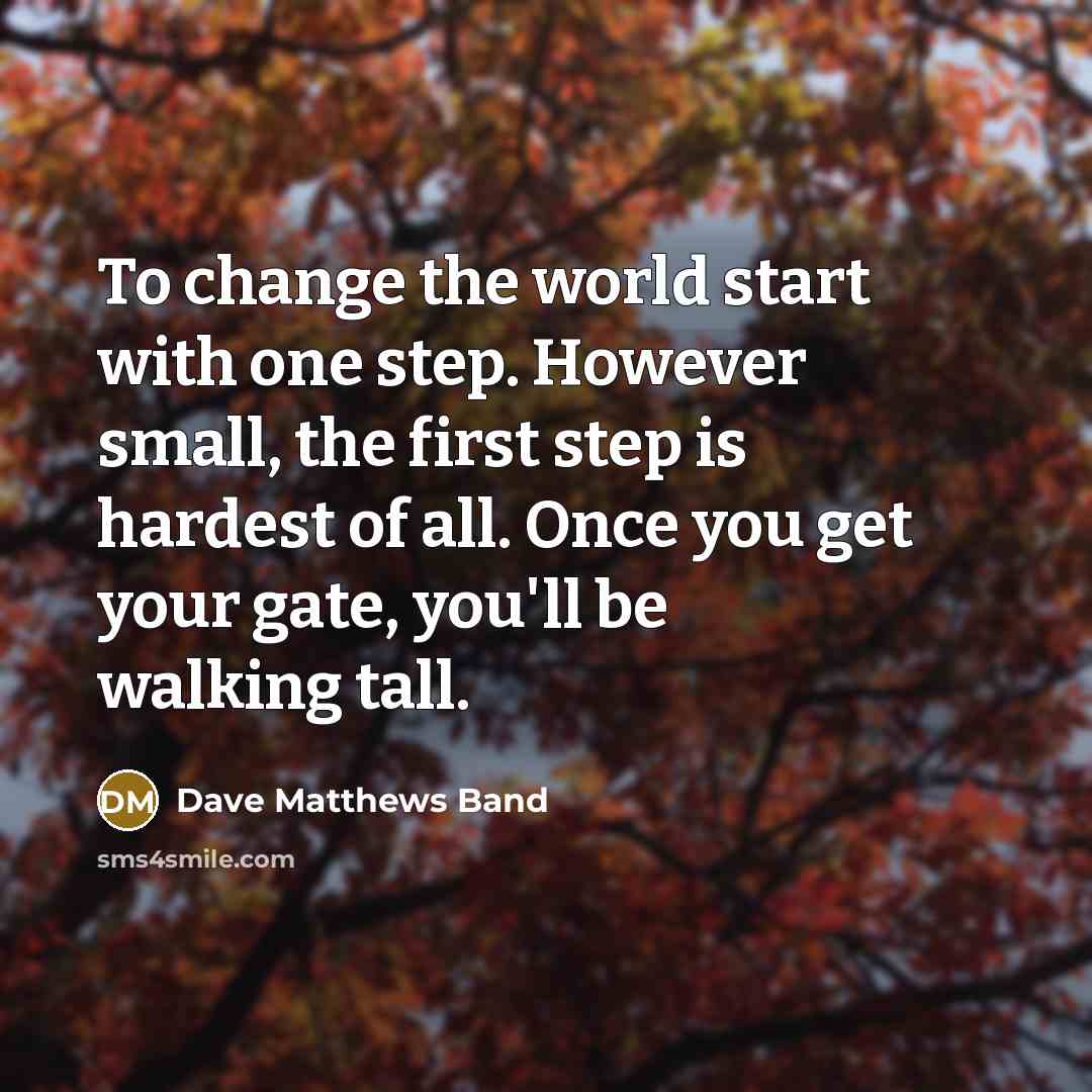 “To change the world start with one step. However small,…” quote by Dave Matthews Band