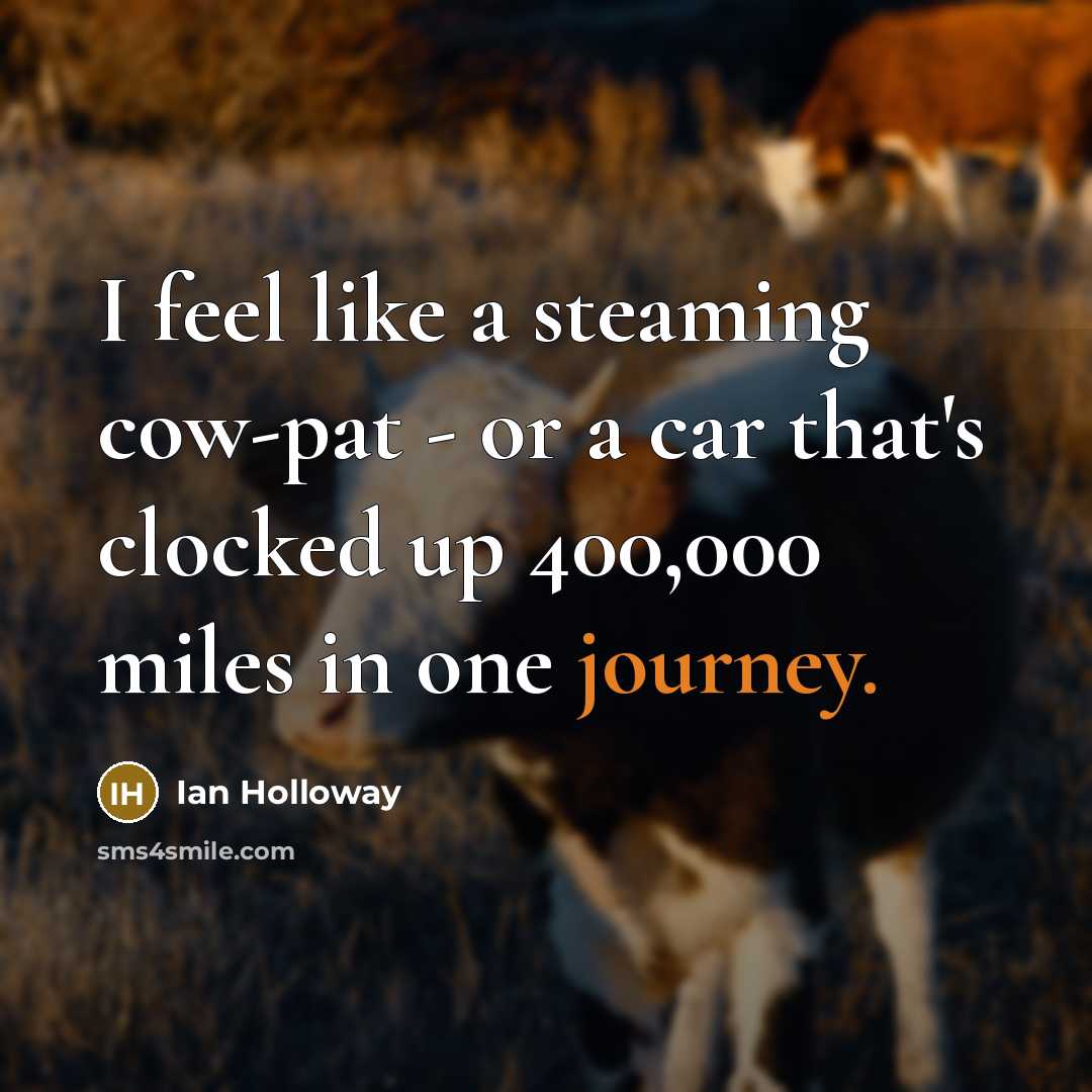 “I feel like a steaming cow-pat - or a car…” quote by Ian Holloway