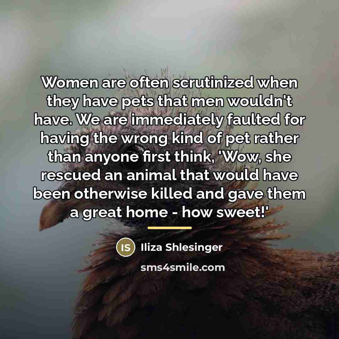 “Women are often scrutinized when they have pets that men…” quote by Iliza Shlesinger