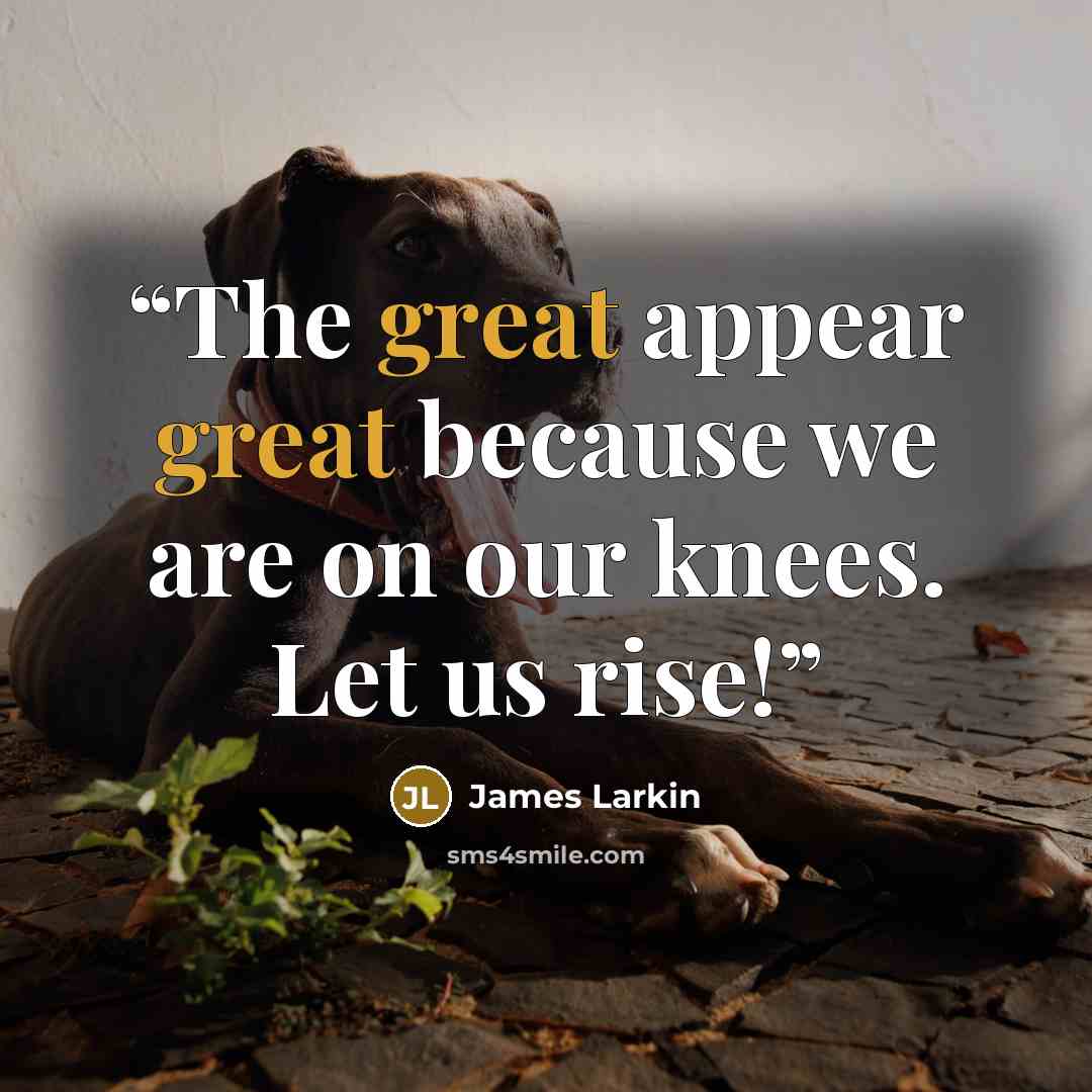 “The great appear great because we are on our knees. Let us rise!” quote by James Larkin