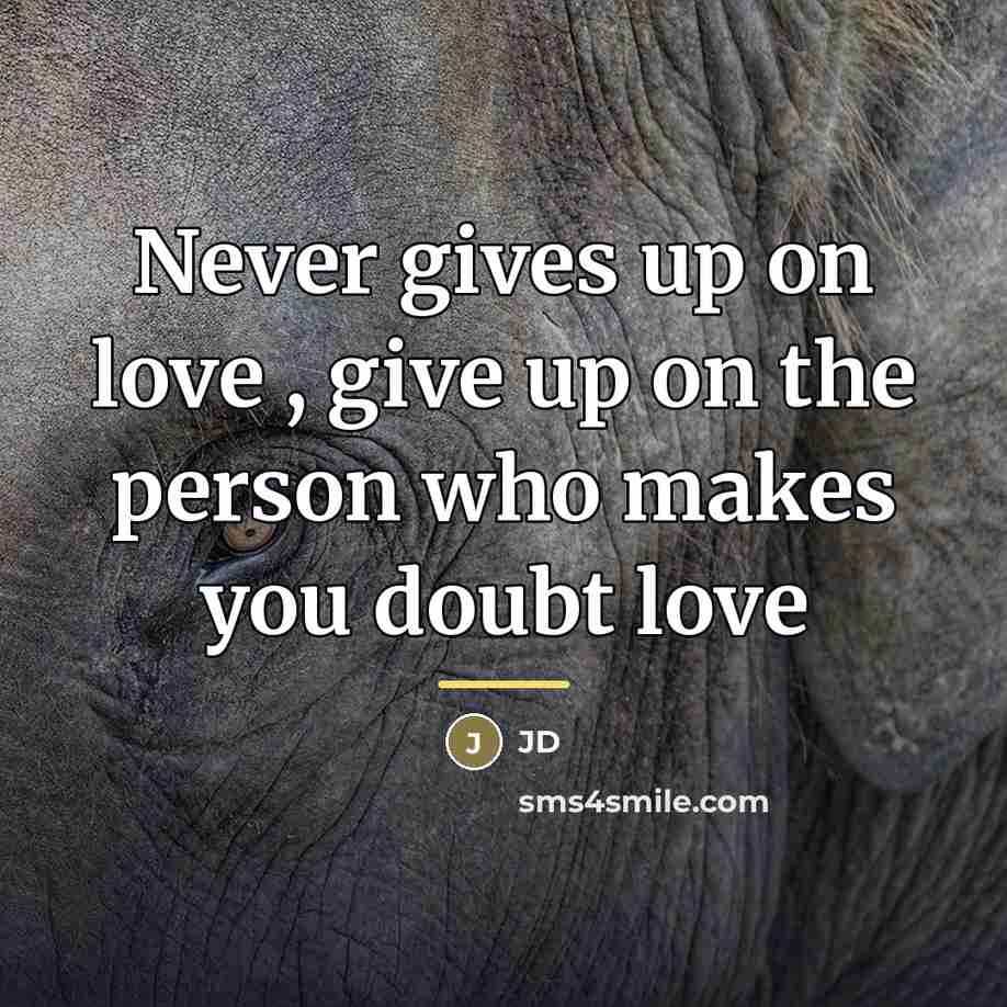 “Never gives up on love , give up on the…” quote by JD