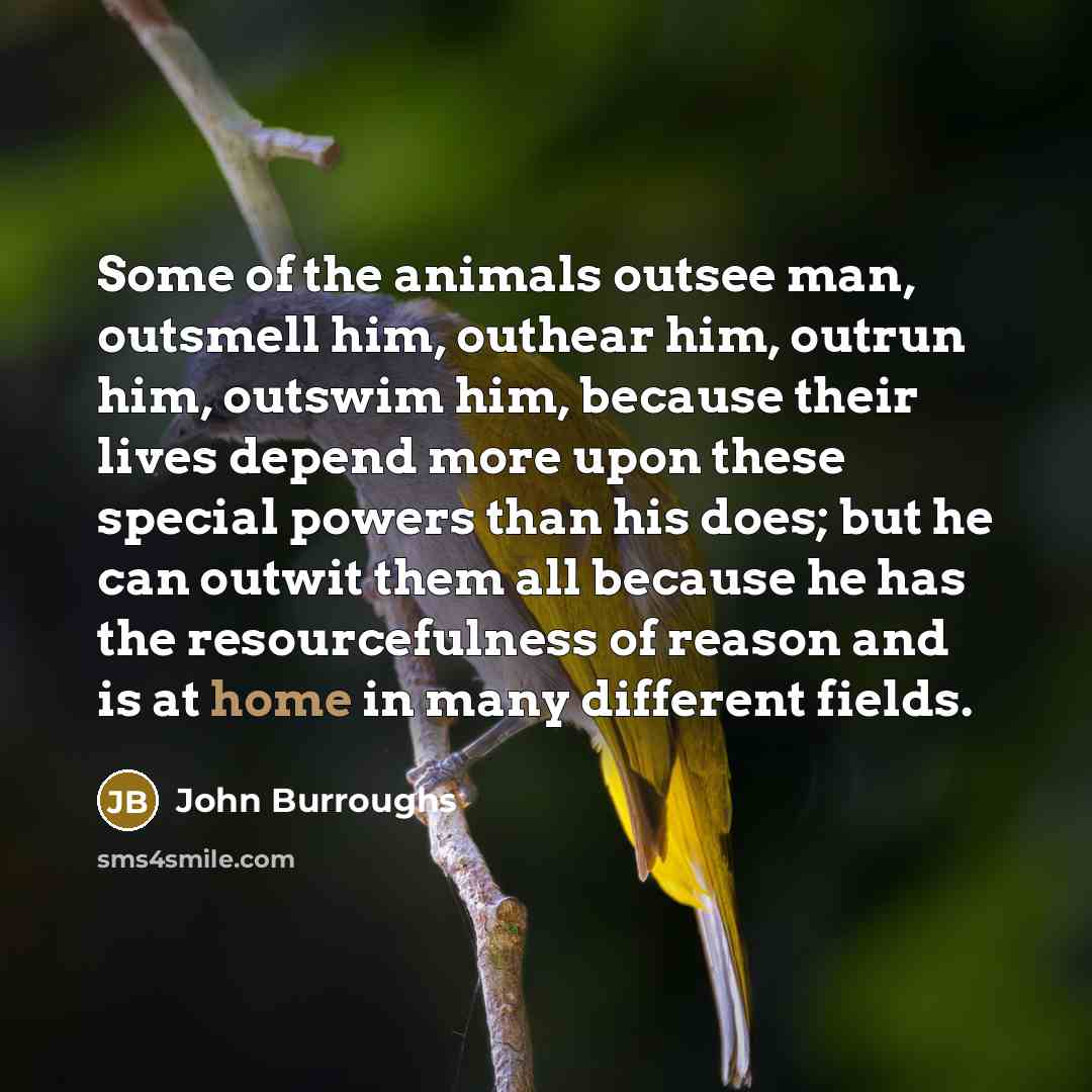 “Some of the animals outsee man, outsmell him, outhear him,…” quote by John Burroughs