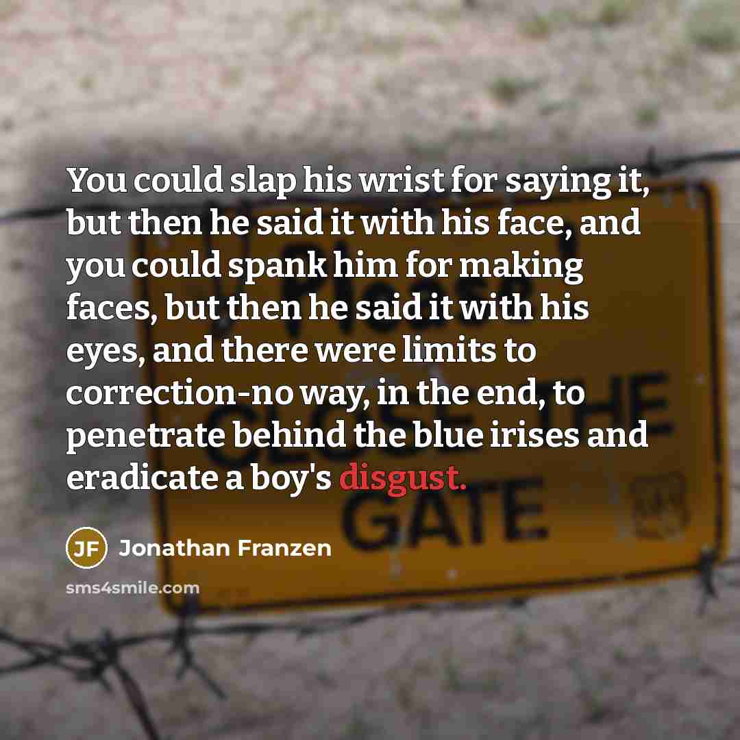 “You could slap his wrist for saying it, but then…” quote by Jonathan Franzen