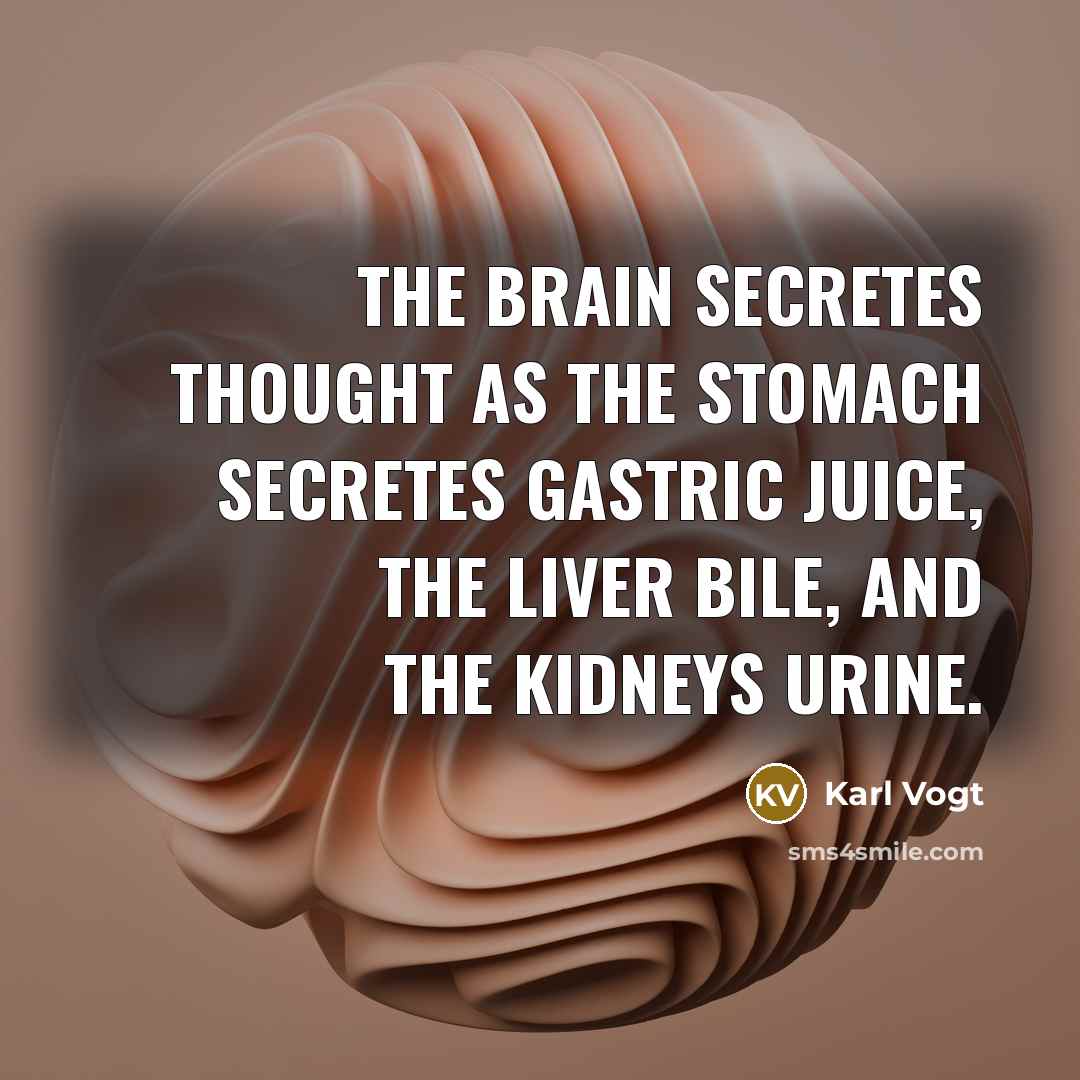 “The brain secretes thought as the stomach secretes gastric juice, the liver bile, and the kidneys urine.” quote by Karl Vogt