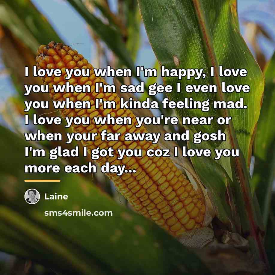 “I love you when I'm happy, I love you when…” quote by Laine