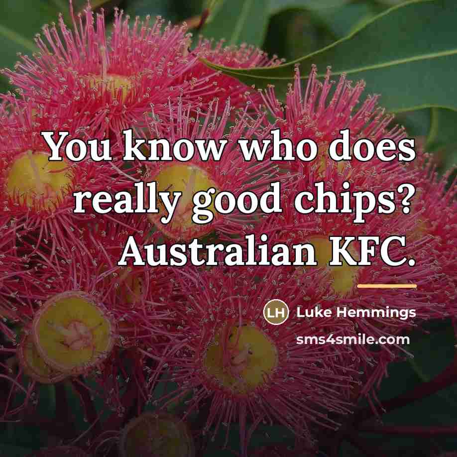“You know who does really good chips? Australian KFC.…” quote by Luke Hemmings