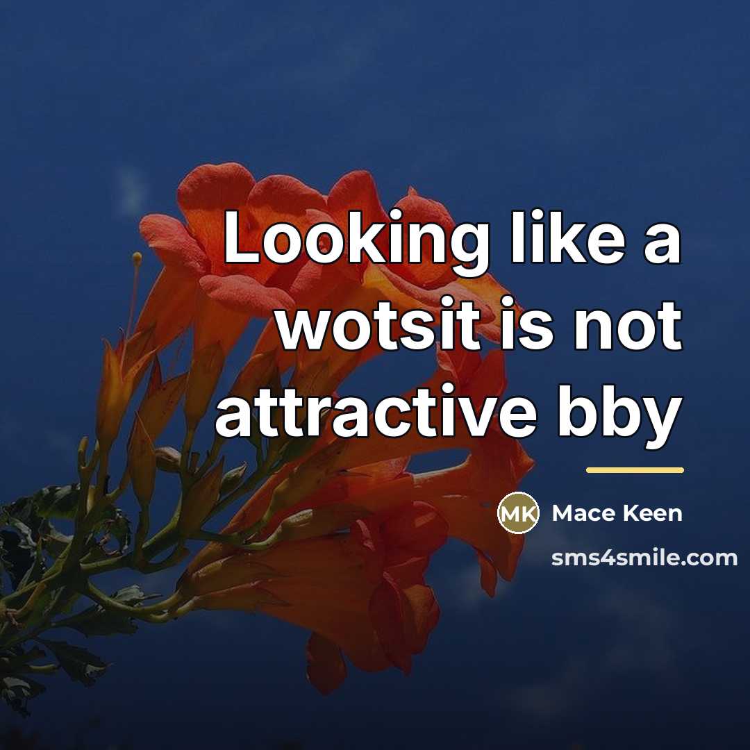 “Looking like a wotsit is not attractive bby…” quote by Mace Keen