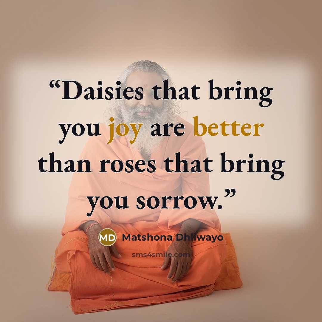 “Daisies that bring you joy are better than roses that bring you sorrow.” quote by Matshona Dhliwayo