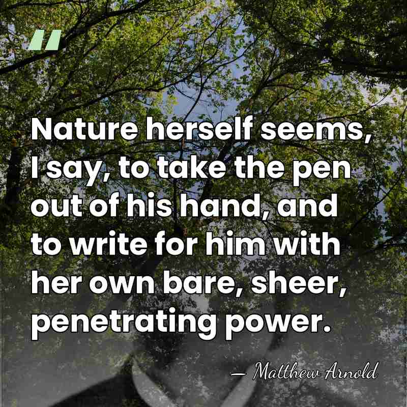 Nature herself seems, I say, to take the pen out of his&hellip; - Matthew Arnold