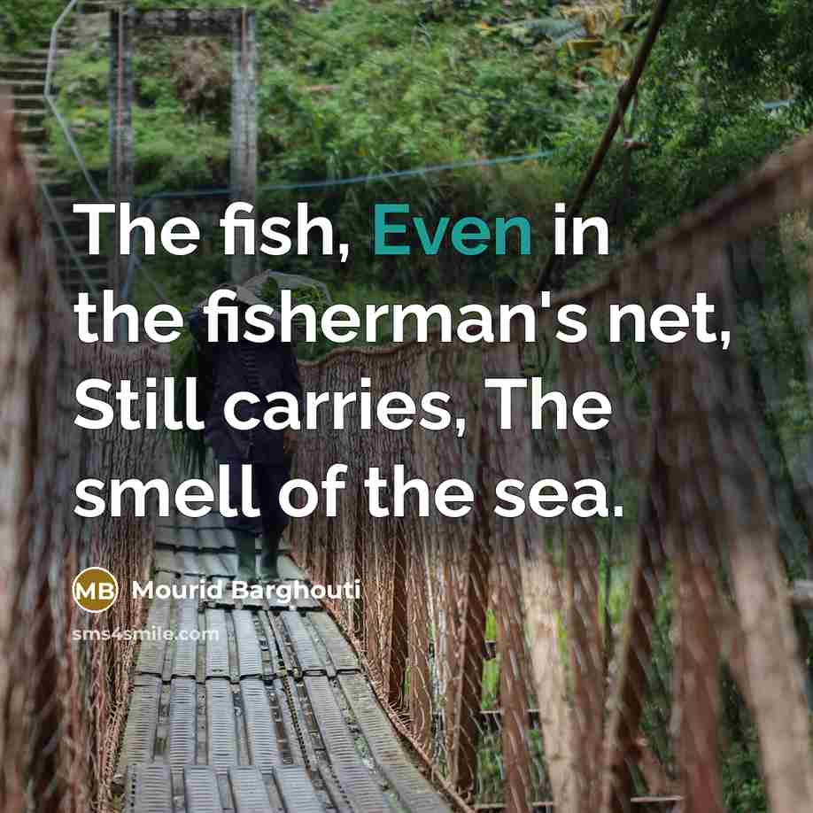 “The fish, Even in the fisherman's net, Still carries, The…” quote by Mourid Barghouti