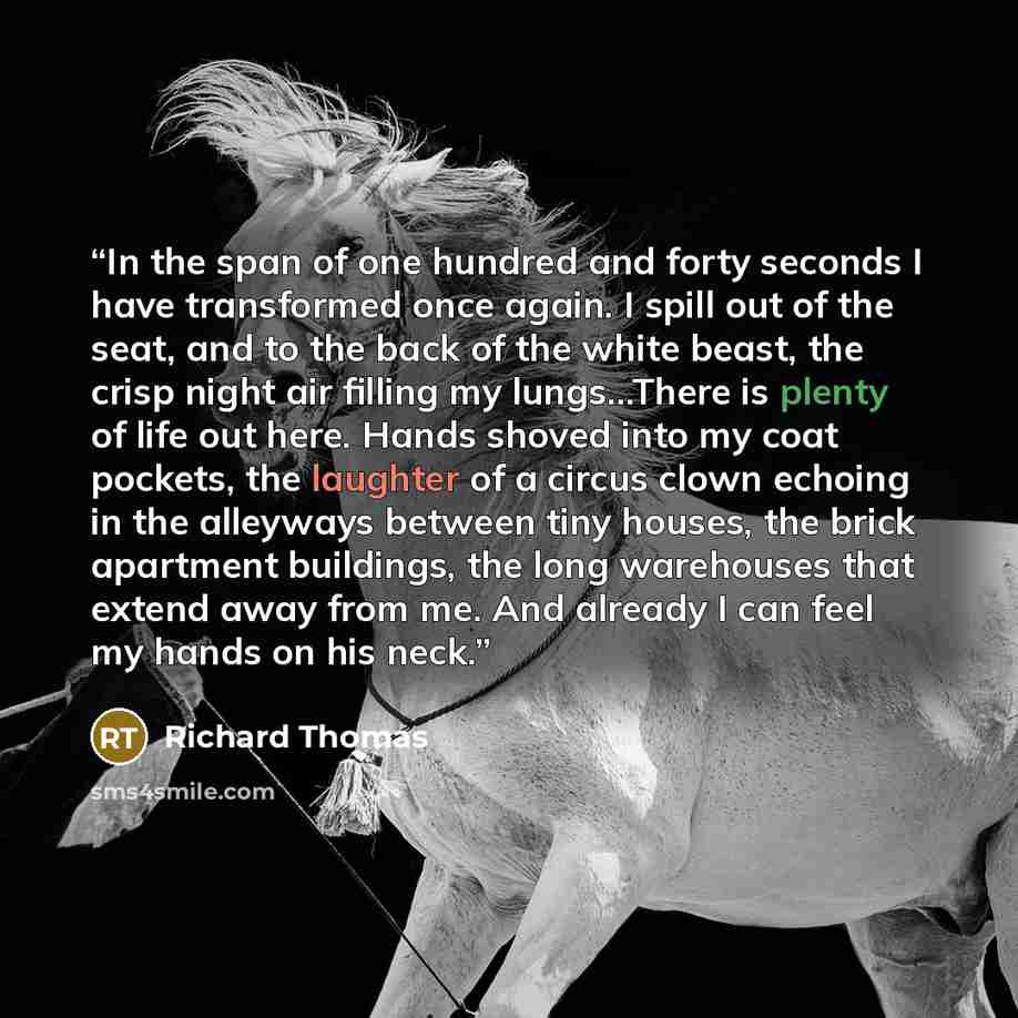 “In the span of one hundred and forty seconds I have transformed once again. I spill out of the seat, and to the back of the white beast, the crisp night air filling my lungs…There is plenty of life out here. Hands shoved into my coat pockets, the laughter of a circus clown echoing in the alleyways…” quote by Richard Thomas