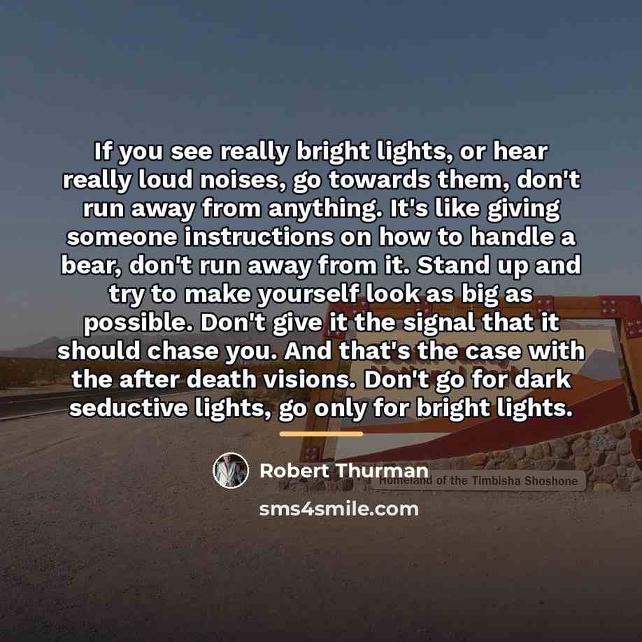 “If you see really bright lights, or hear really loud…” quote by Robert Thurman