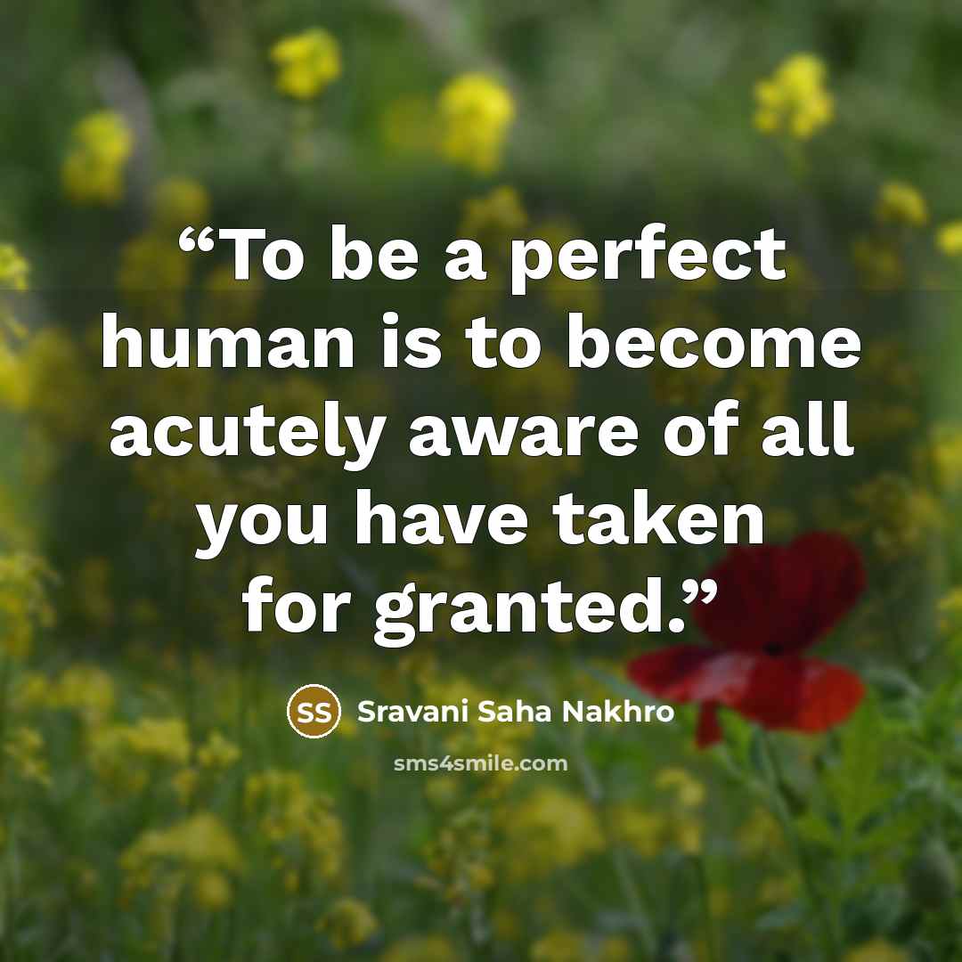 “To be a perfect human is to become acutely aware of all you have taken for granted.” quote by Sravani Saha Nakhro