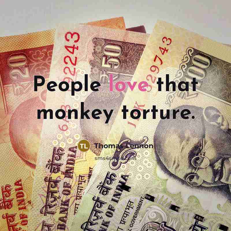 “People love that monkey torture.…” quote by Thomas Lennon