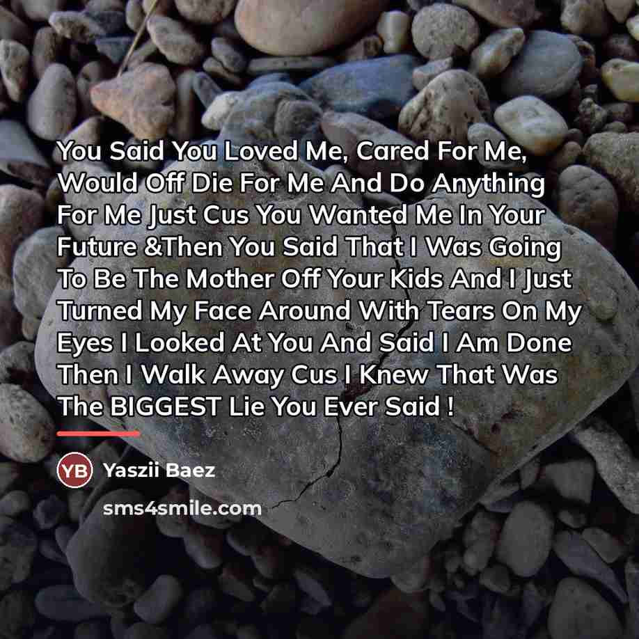 “You Said You Loved Me, Cared For Me, Would Off…” quote by Yaszii Baez