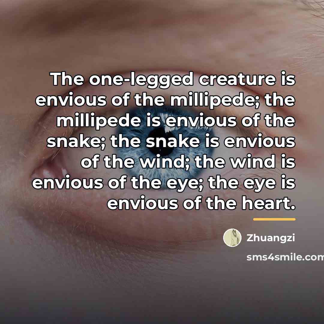 “The one-legged creature is envious of the millipede; the millipede…” quote by Zhuangzi