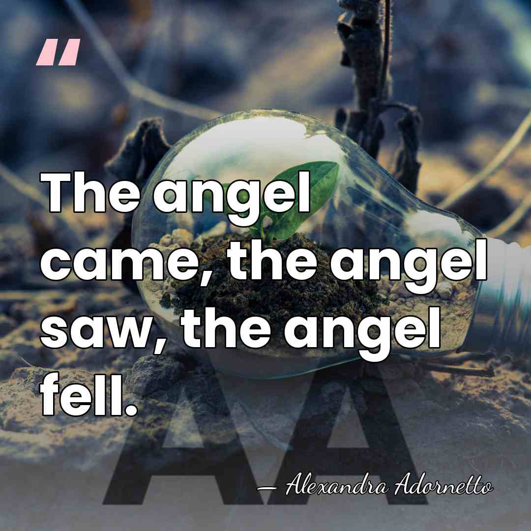 The angel came, the angel saw, the angel fell. - Alexandra Adornetto