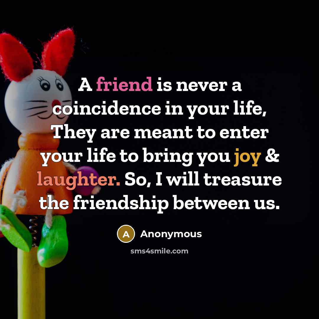 “A friend is never a coincidence in your life, They are meant to enter your life to bring you joy & laughter. So, I will treasure the friendship between us.” quote by Anonymous