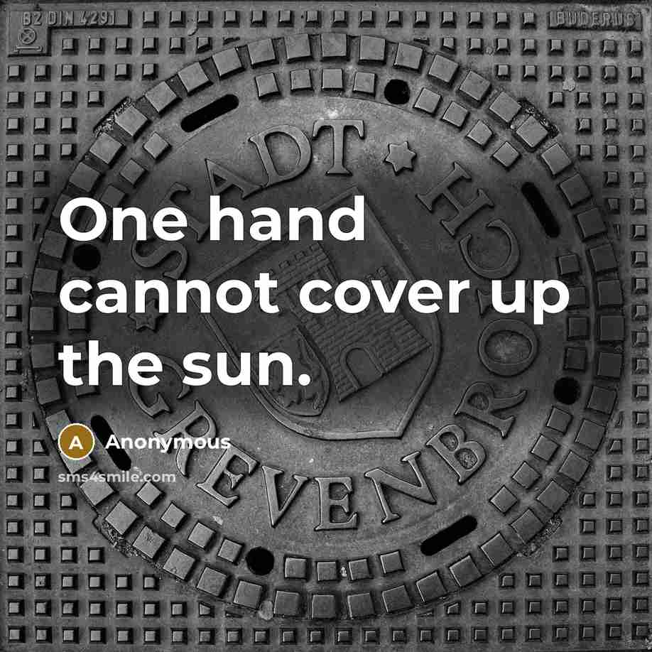 “One hand cannot cover up the sun.” quote by Anonymous