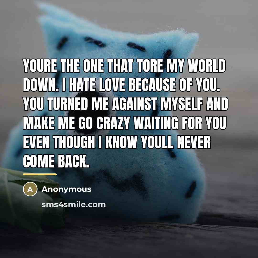 “Youre the one that tore my world down. I hate…” quote by Anonymous